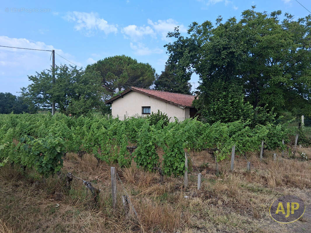 Maison à SAINT-ESTEPHE