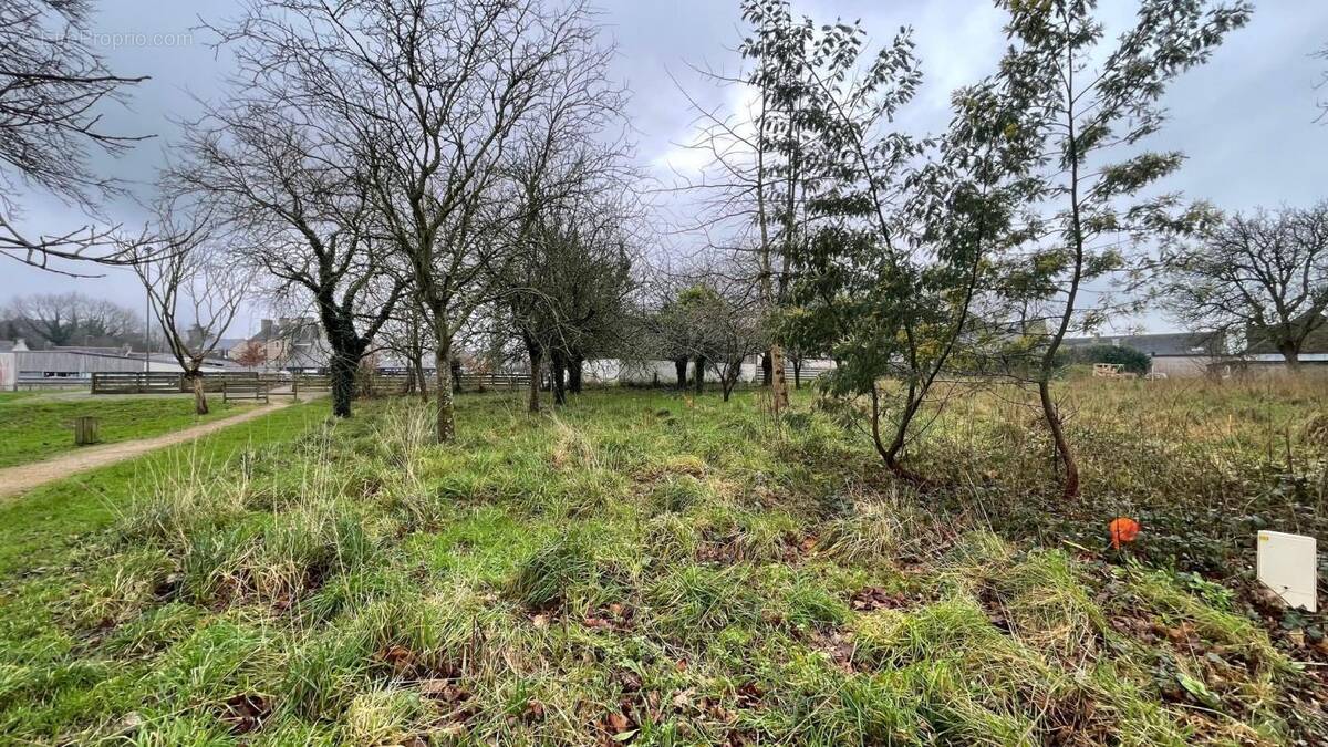 Terrain à LANNION