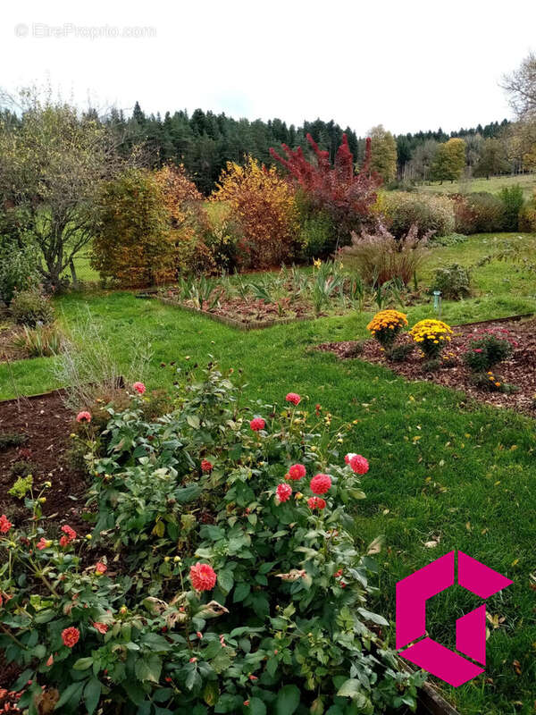 Maison à MONTREGARD