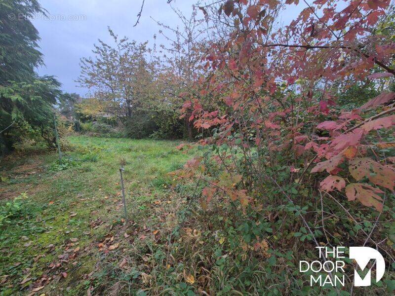 Terrain à LES ESSARTS-LE-ROI
