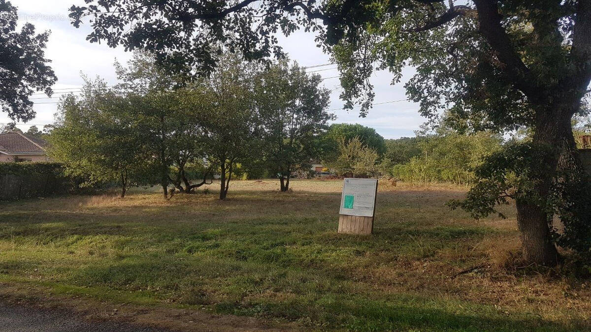 Terrain à PLAISANCE-DU-TOUCH