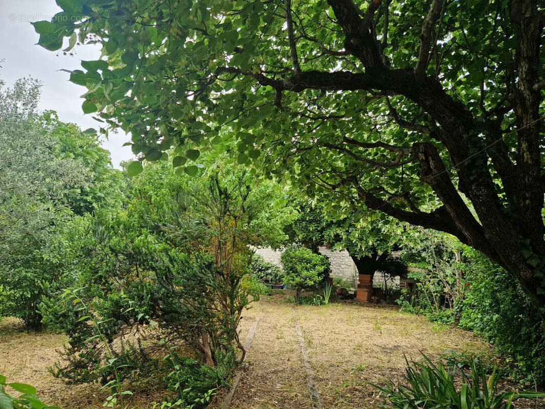 Maison à BUIS-LES-BARONNIES