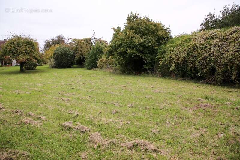 Maison à DUN-SUR-MEUSE