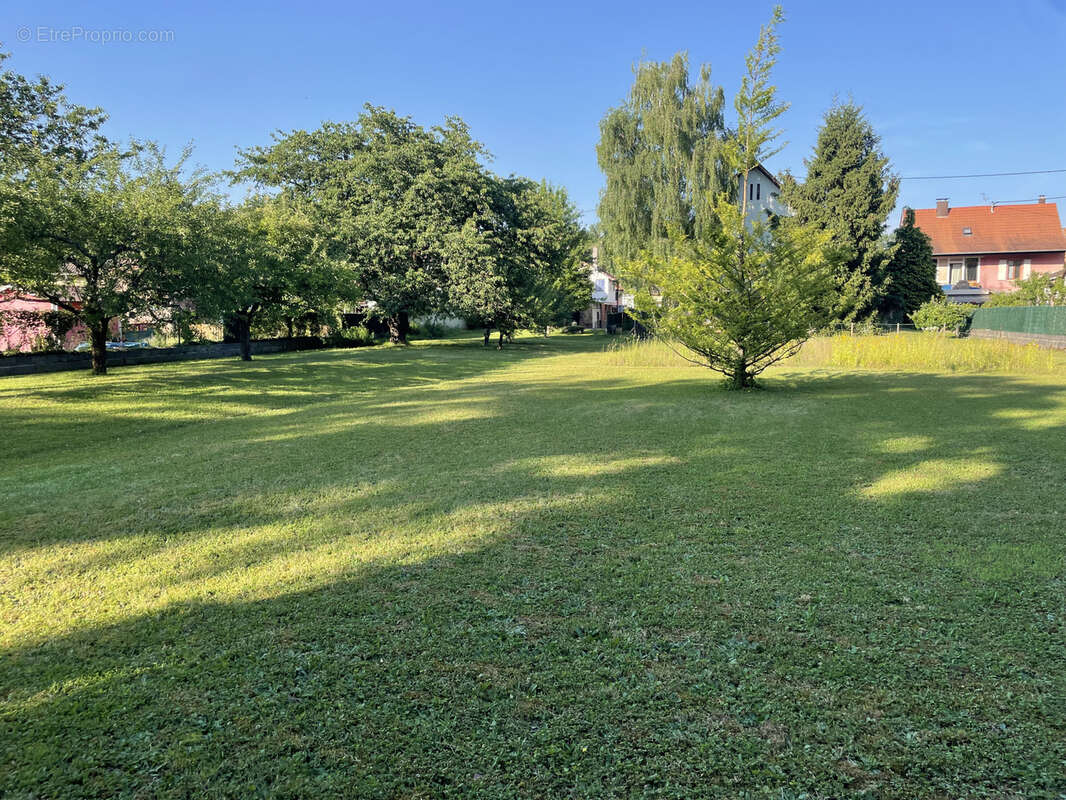 Terrain à AVOLSHEIM