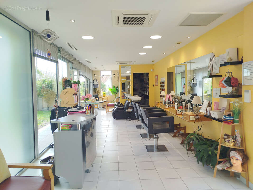 Commerce à PELLEGRUE