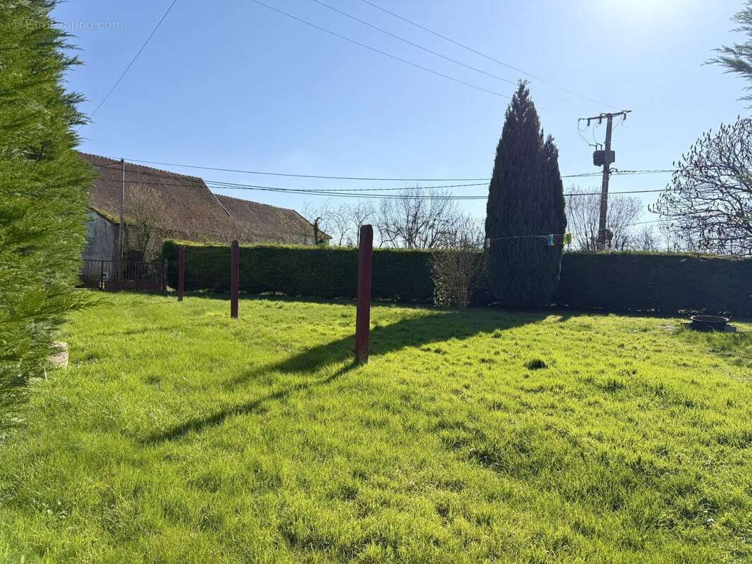Jardin - Maison à MEZIERES-SUR-PONTHOUIN