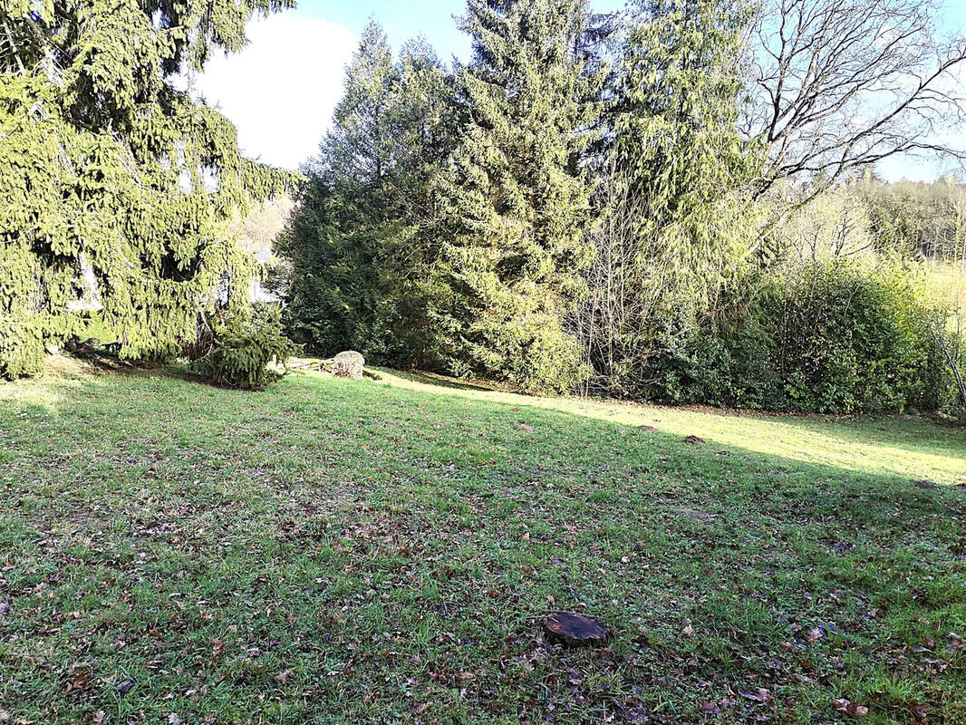 Terrain à LECOUSSE