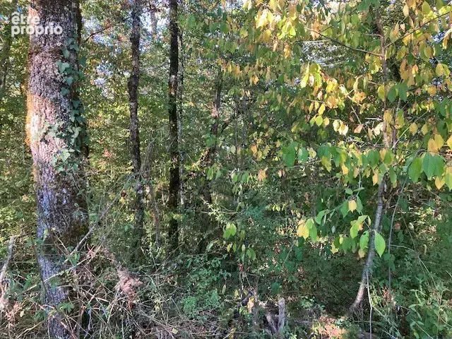 Terrain constructible à vendre avec forêt de chêne à St Martial de Nabirat - photo 4