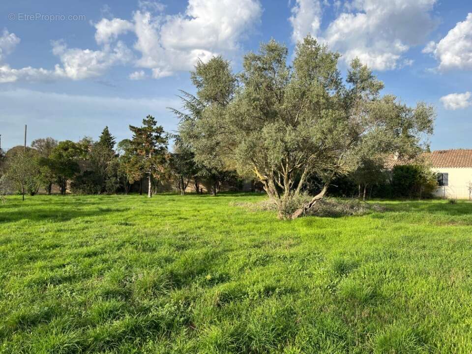 Terrain à BOLLENE