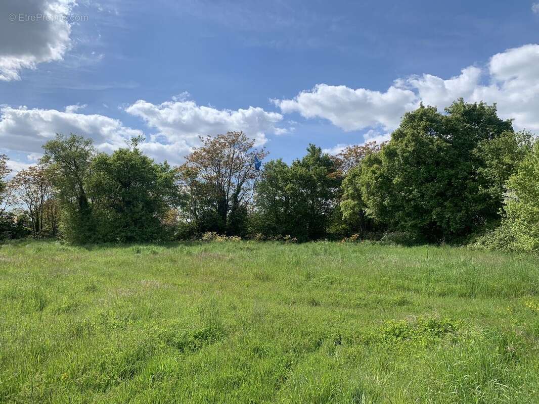 Terrain à FERRIERES