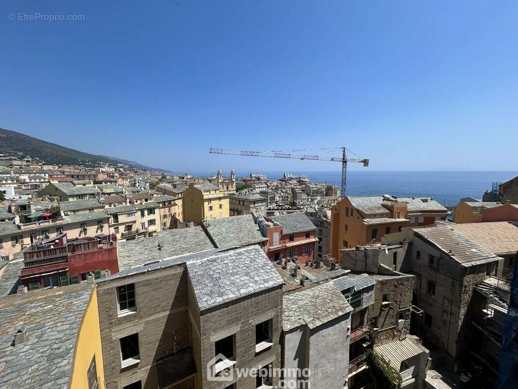 Une vue splendide sans nuisance sonore - Appartement à SAN-MARTINO-DI-LOTA
