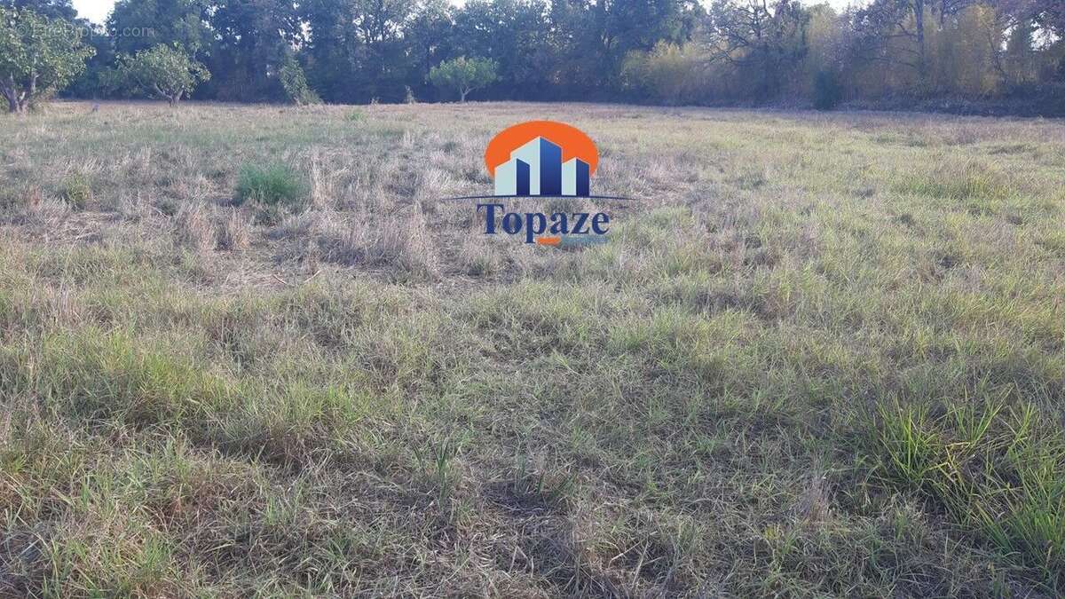 Terrain à PUGET-SUR-ARGENS