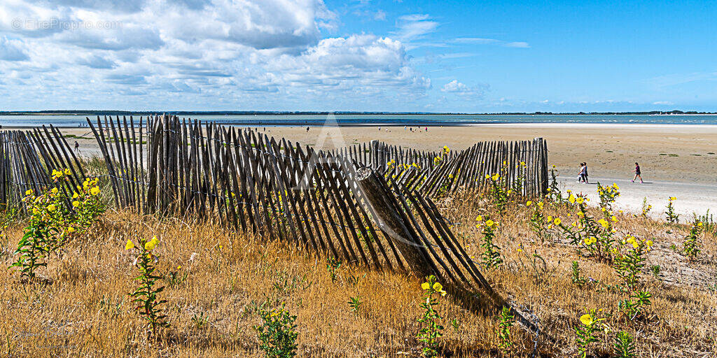 Terrain à LE CROTOY