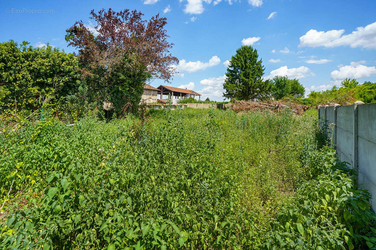 Maison Replonges 4 pièces 125 m2 - photo 2