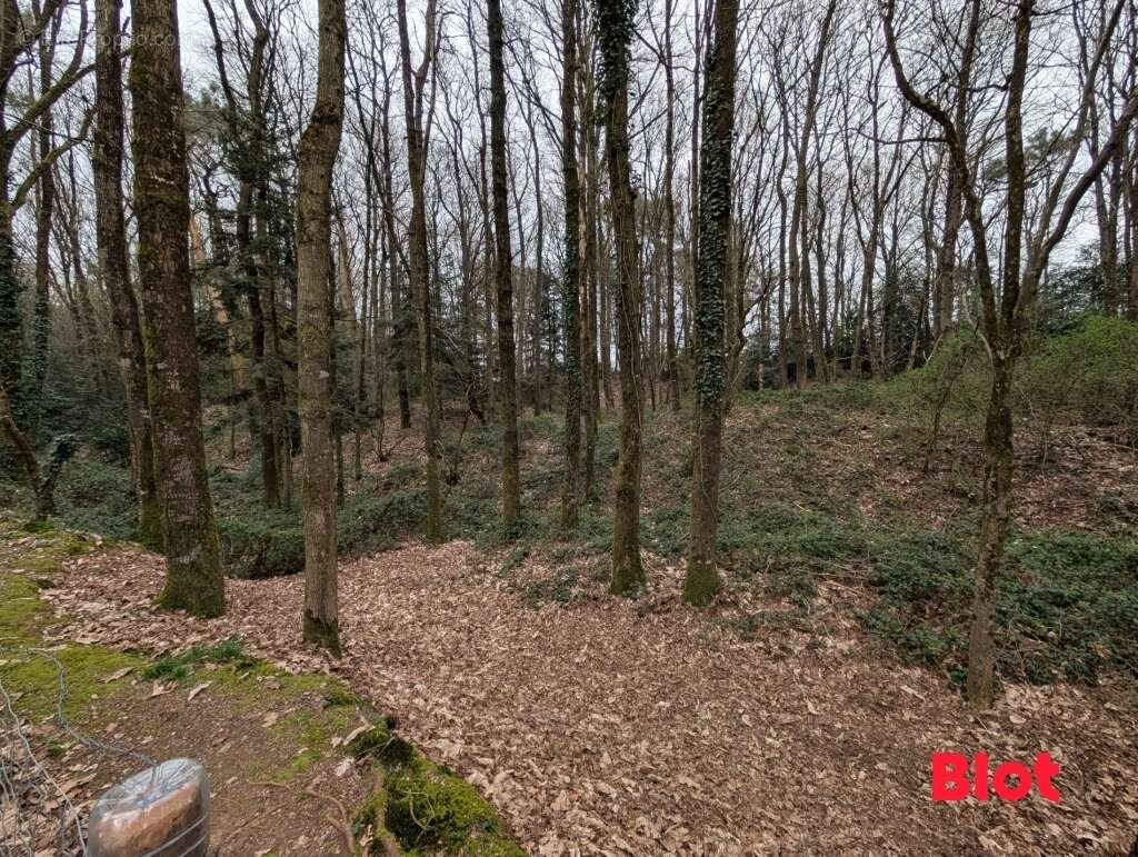 Terrain à PLECHATEL