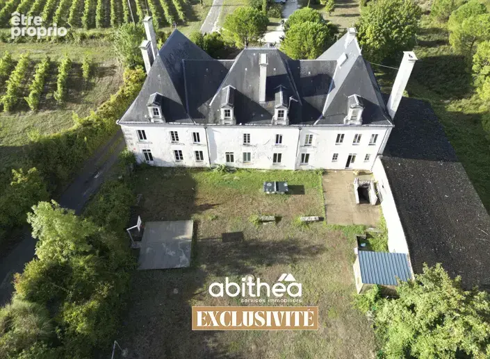 Demeure  707m2  11 chambres suites  chai  dependances  5.5 ha2 - photo 20