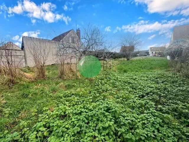 Terrain à VAYRES-SUR-ESSONNE