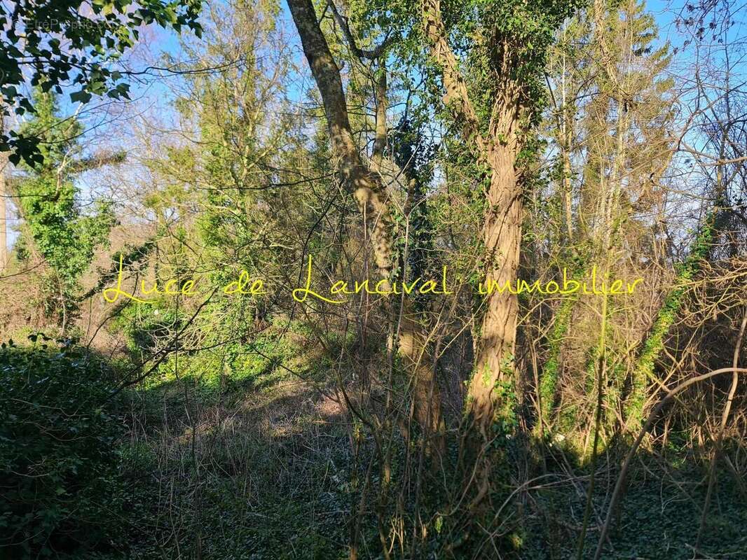 Photo 2 - Terrain à SAINT-GOBAIN