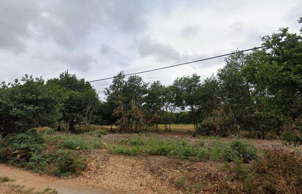 Terrain à LE HINGLE