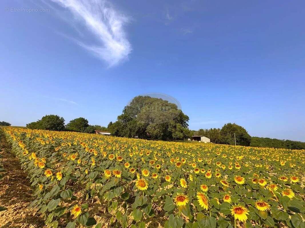 Maison à SAINTE-DODE