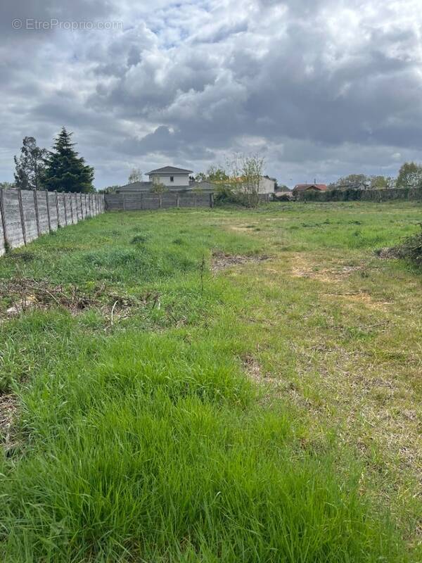 Terrain à SAINT-MEDARD-EN-JALLES