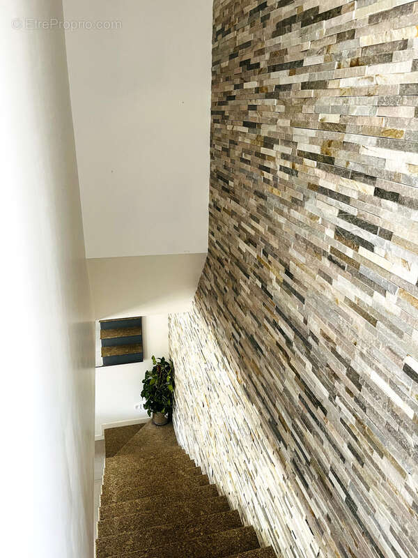 Propriété  5 chambres -  Proche Calvi - photo 9