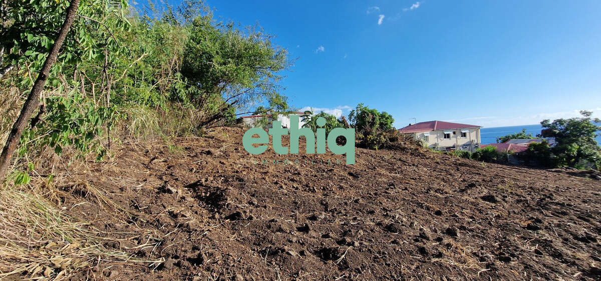 Terrain à VIEUX-HABITANTS