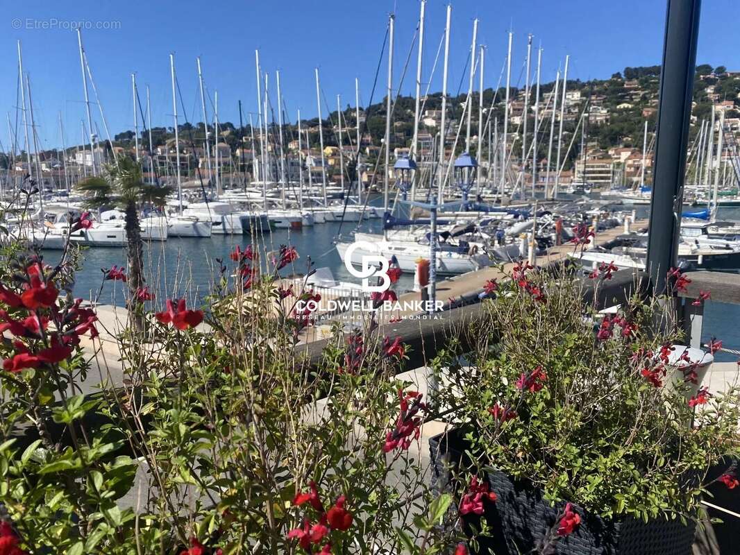 Commerce à SAINT-MANDRIER-SUR-MER