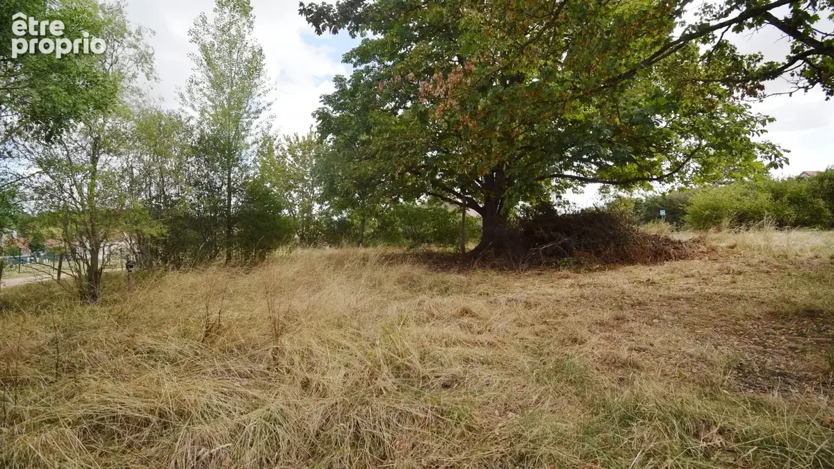 À VENDRE - EXCLUSIVITÉ - Grange 97 m² avec dépendance à CUSSET - photo 13