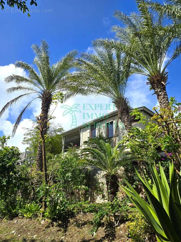 Maison à CAPESTERRE-DE-MARIE-GALANTE