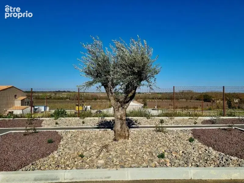 Terrain 352 m² à vendre à Servian (34290) - photo 5