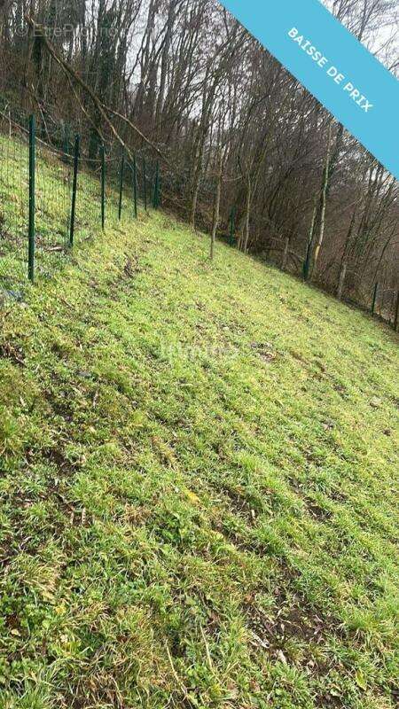 Terrain à THANN