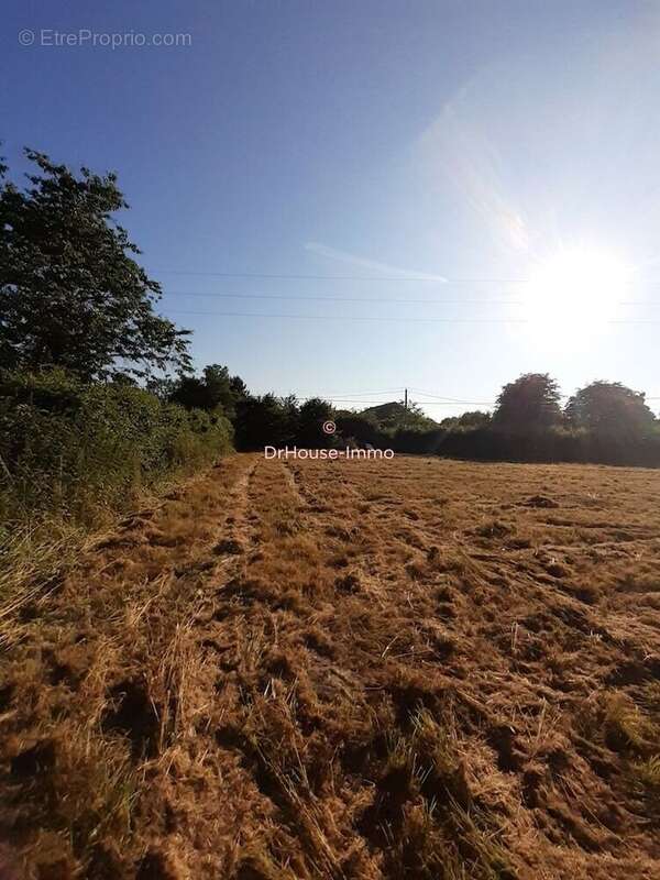 Terrain à BEAUMONT-LE-ROGER