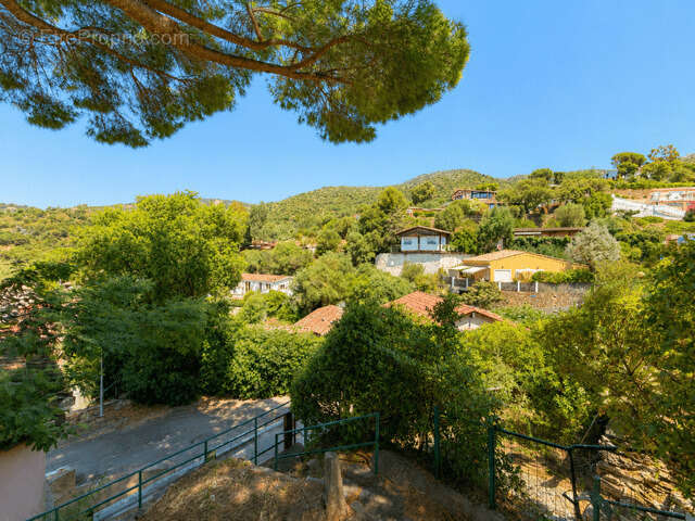 Domaine des Maurels à Bormes-les-Mimosas : 2 habitations avec terrasses sur parcelle de 350 m² - photo 3