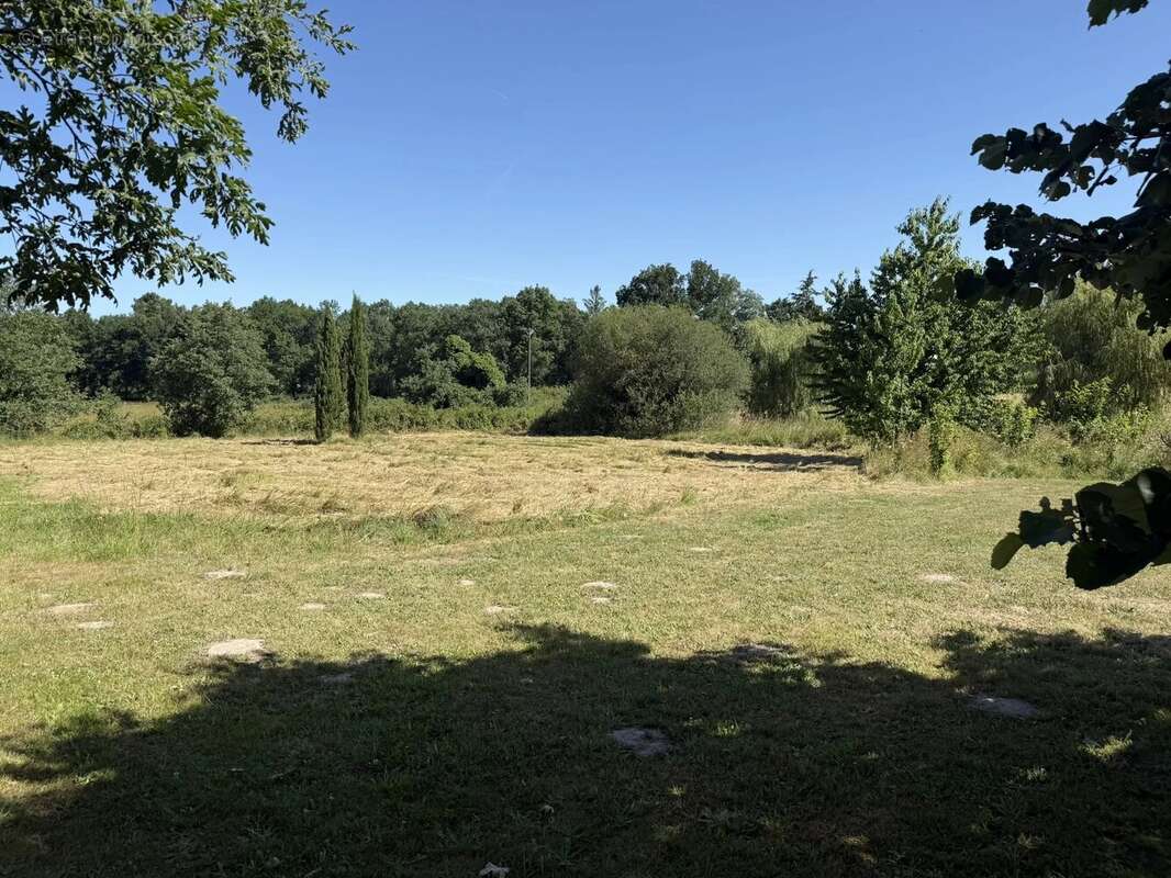 Maison Contemporaine avec Piscine et Près d’un Hectare de Terrain - photo 15