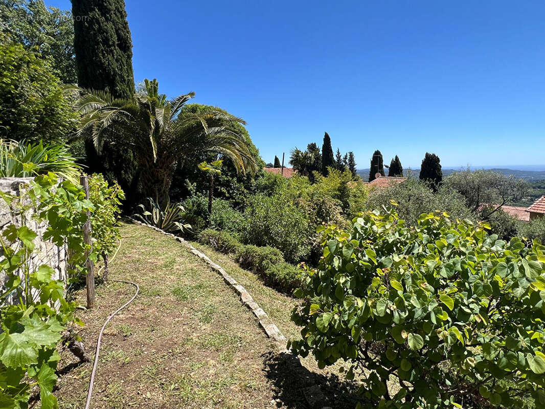 Magagnosc : Maison familiale avec vue mer exceptionnelle - photo 14