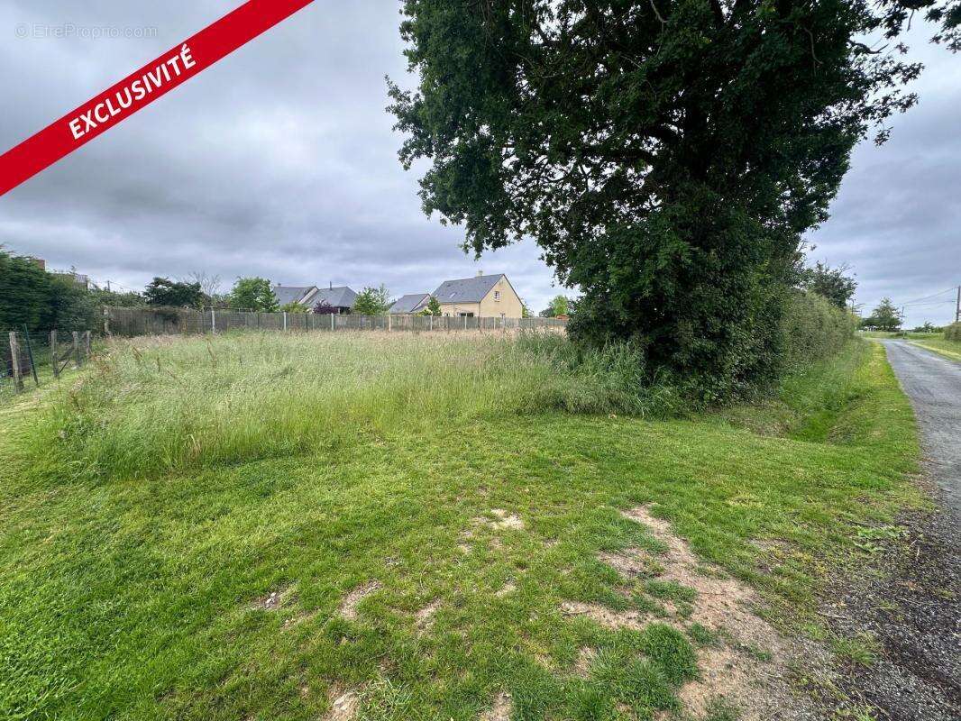 Terrain constructible au coeur des vignes de 727 m² env - photo 2