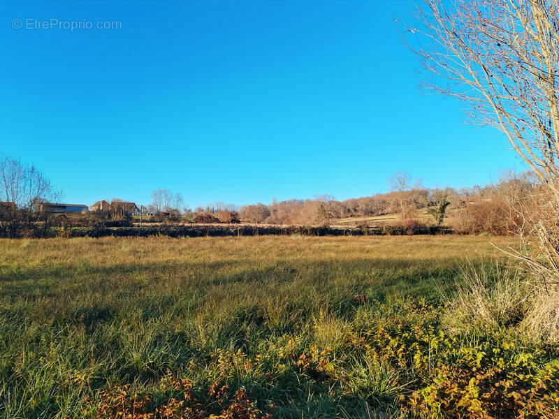 Terrain à NAVARRENX