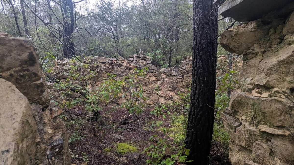 COTIGNAC - Rare à la vente 13.992m² boisés avec ruines de cabanon - photo 4