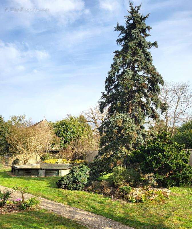 Maison à LES ORMES