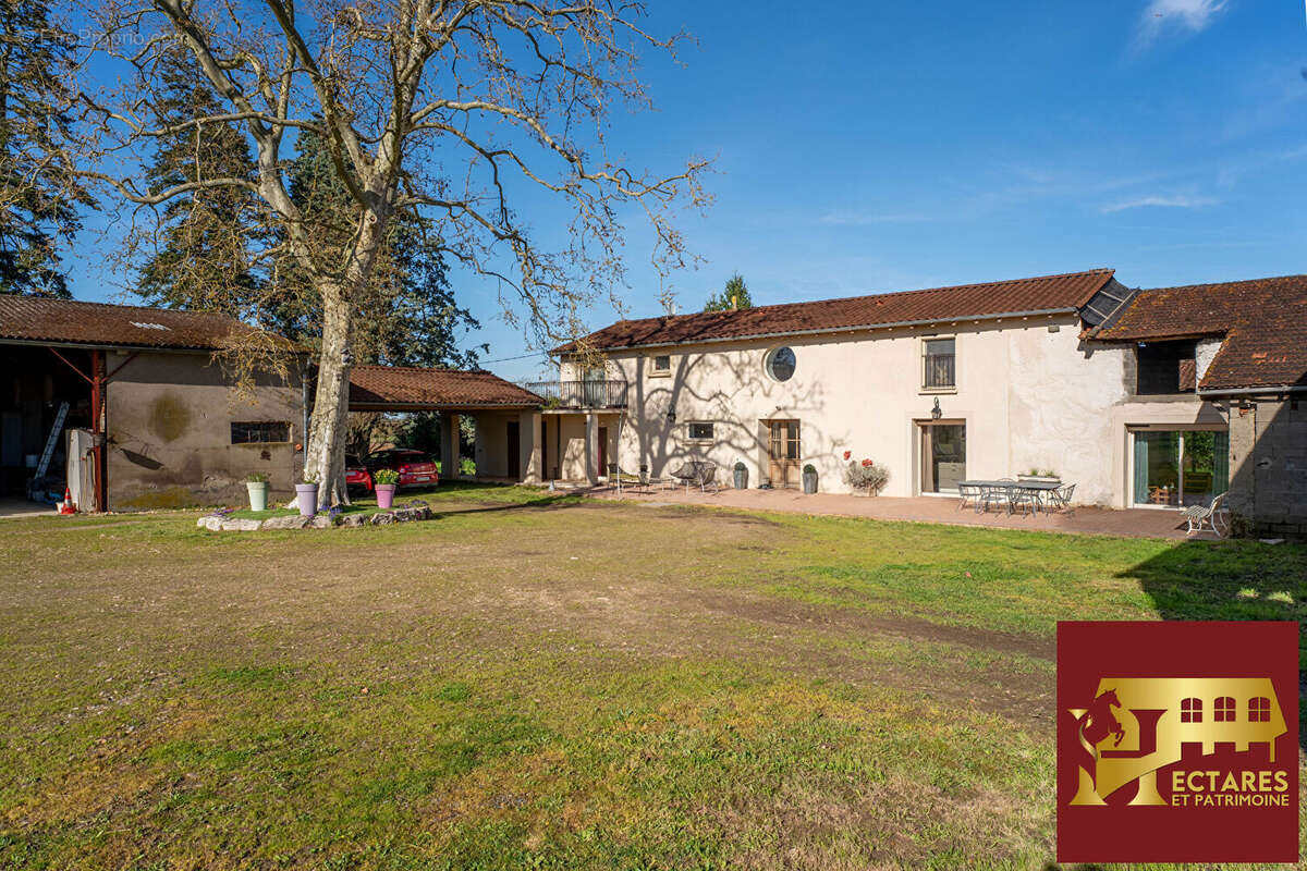 Maison à NEUVILLE-LES-DAMES