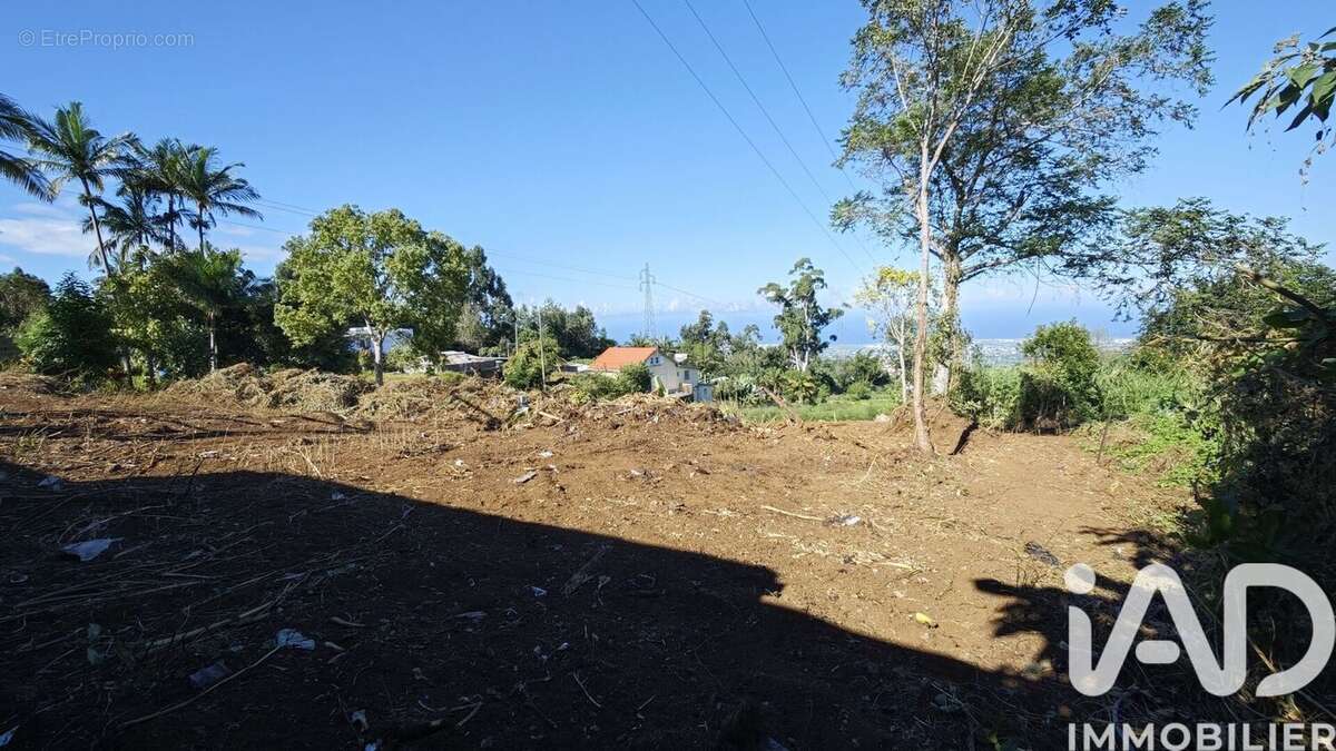 Photo 2 - Terrain à LE TAMPON