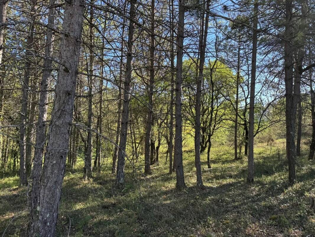 Terrain à CAHORS