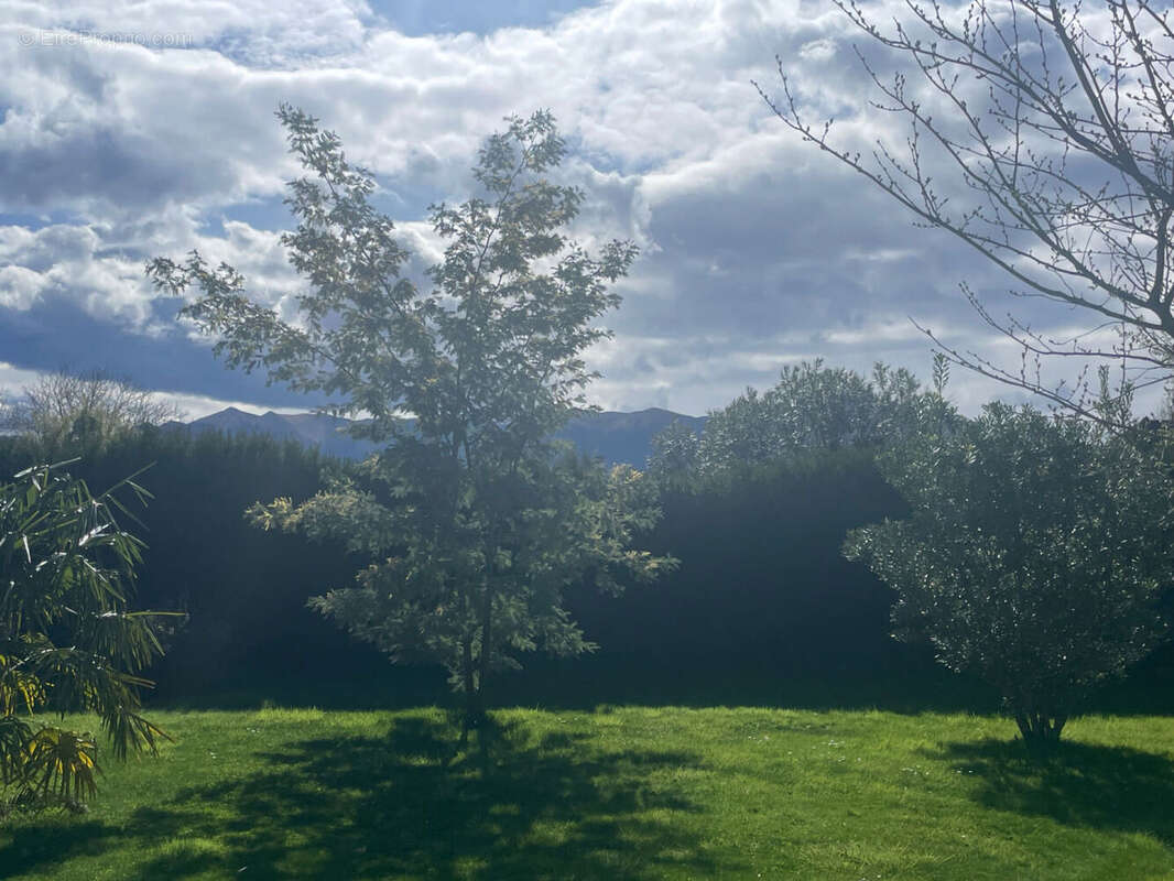 IMG_8473 - Maison à OLORON-SAINTE-MARIE