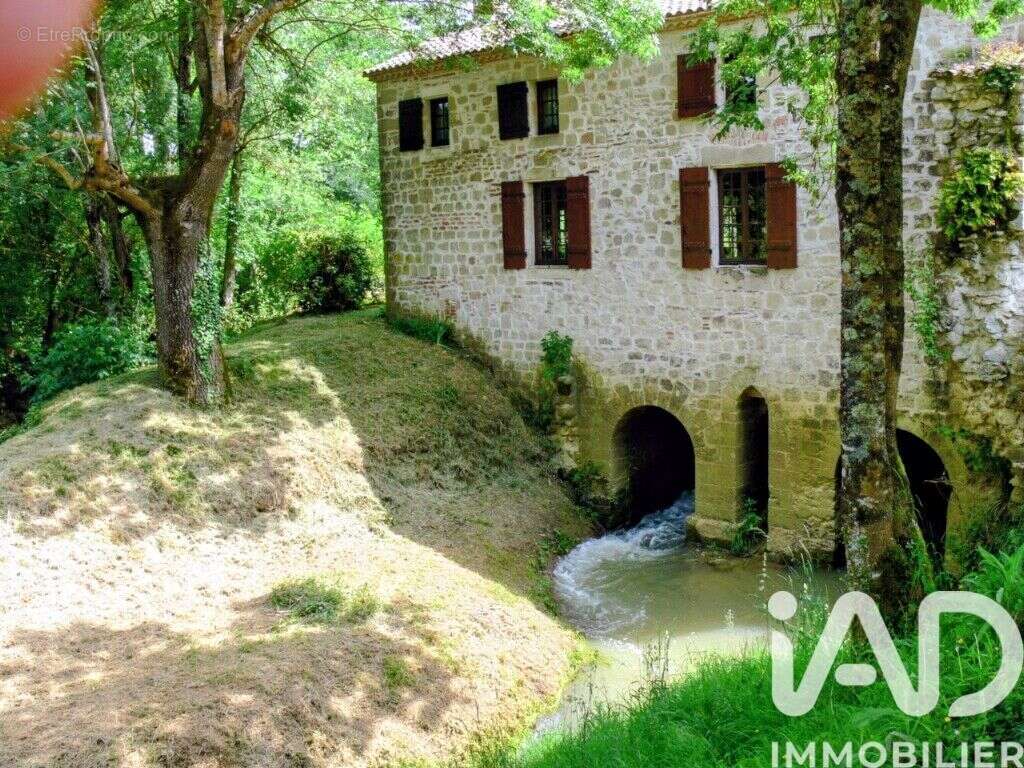 Maison 400 m² à Grateloup-Saint-Gayrand  - photo 3