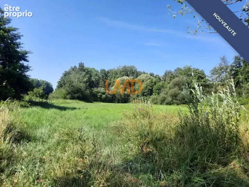 terrain bord de loir - Saint Hilaire La Gravelle - photo 4