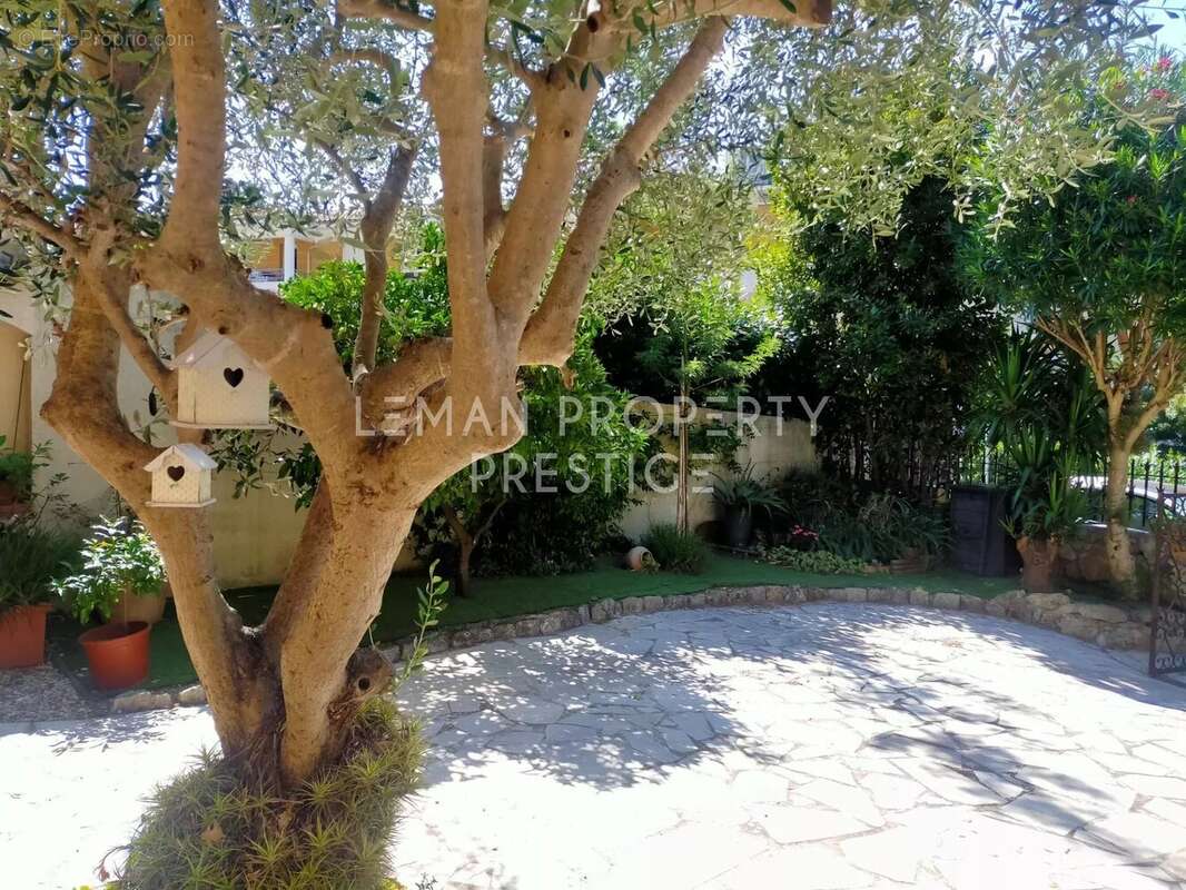 Maison à PEYMEINADE