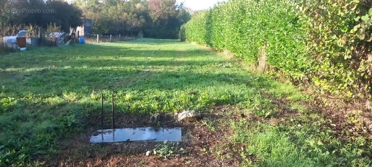 Photo 1 - Terrain à THORS