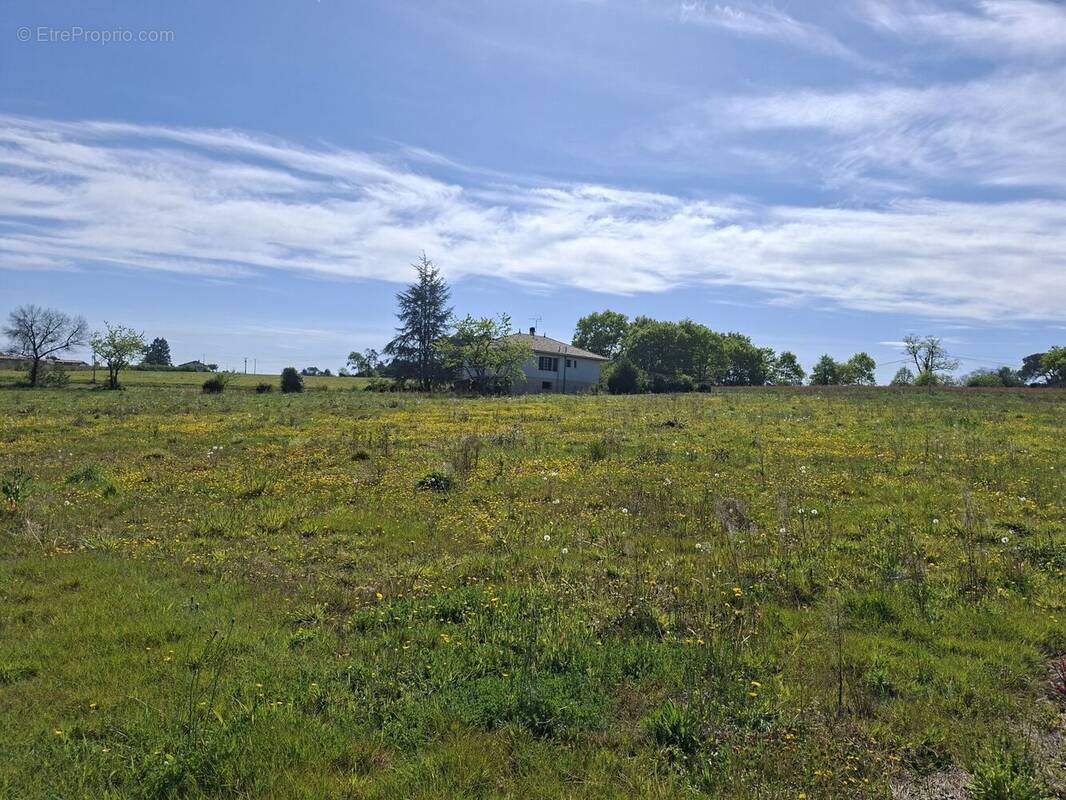 Terrain à SAINT-CRICQ-CHALOSSE