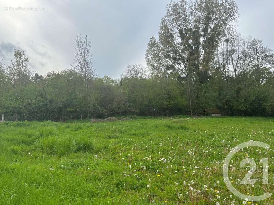 Terrain à LA CHAPELLE-REANVILLE